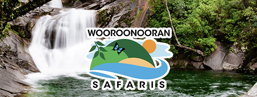 Wooroonooran Safaris Button