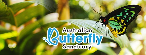 Australian Butterfly SanctuaryButton